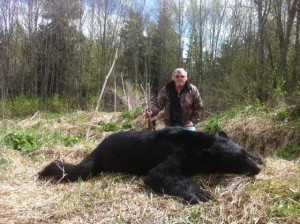 2013bear2